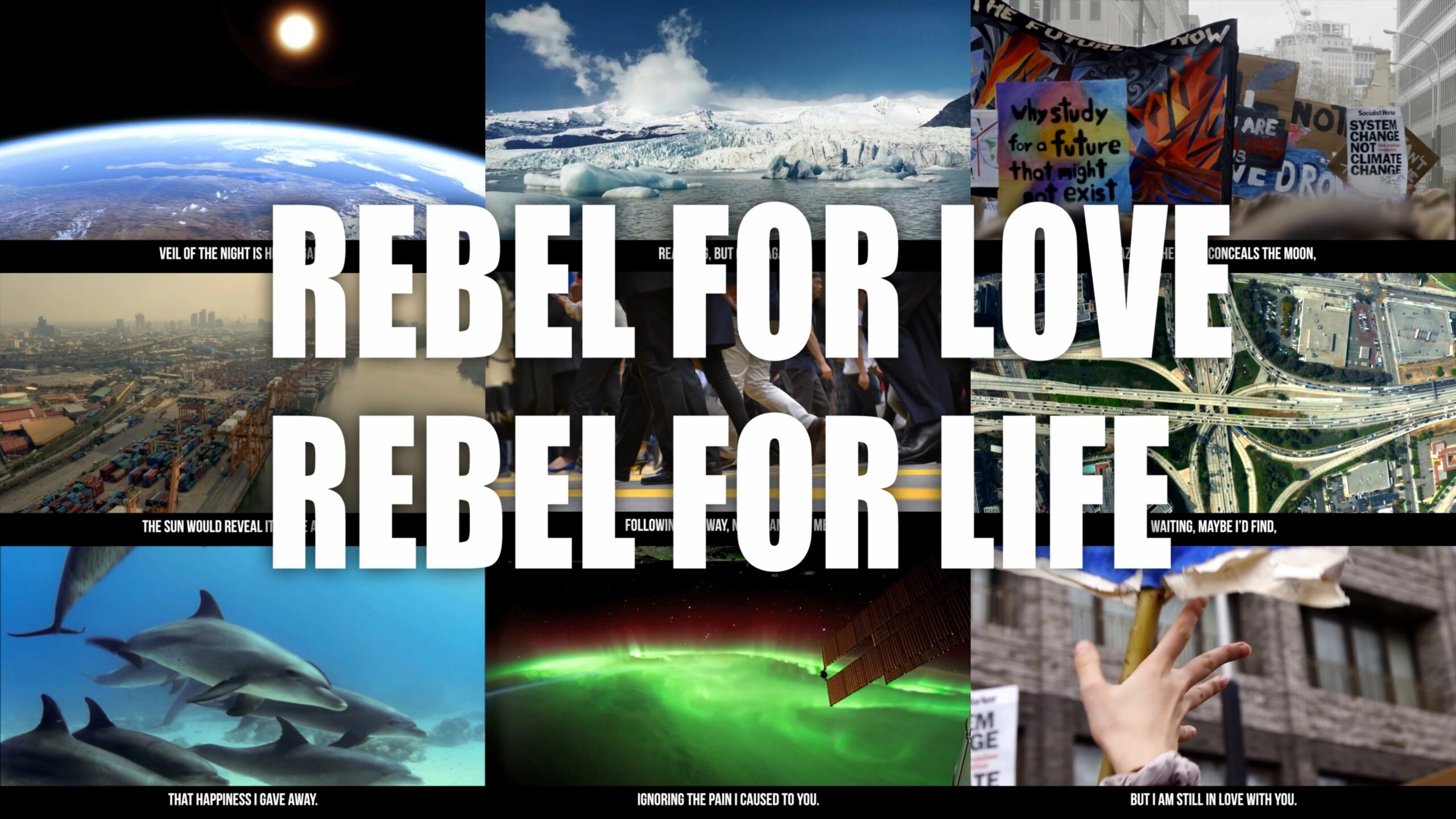 Taking action on Ecological Crisis