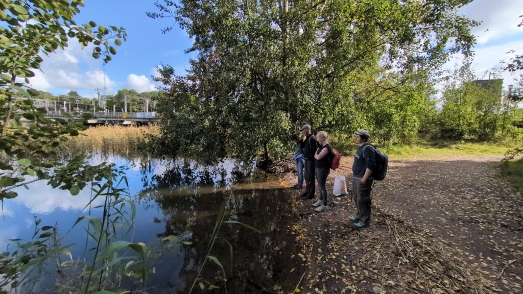Participants looking at the water in silence